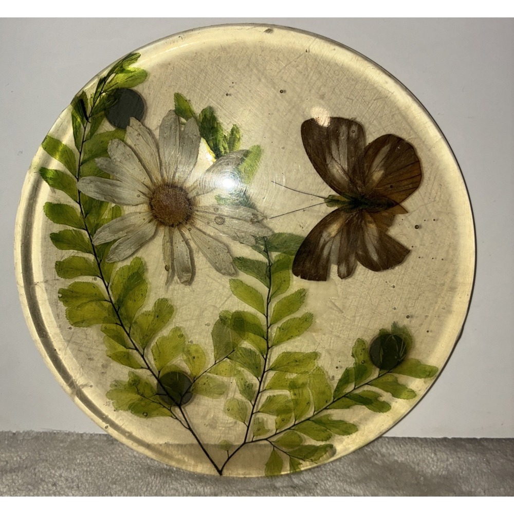 Lucite Dry Daisy Ferns Butterfly Trivet Mid Century 1960s Vintage